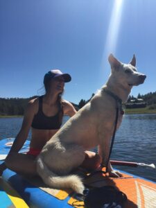 Durango Dog Training, Paddle Boarding with your dog